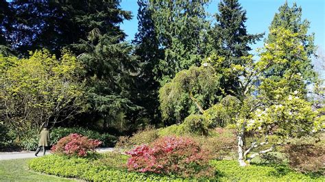 7 Photos To Inspire You To Visit The Washington Park Arboretum! - Enthusiastic About Life