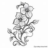 Flower Vine Coloring Pages  Free & Printable sketch template