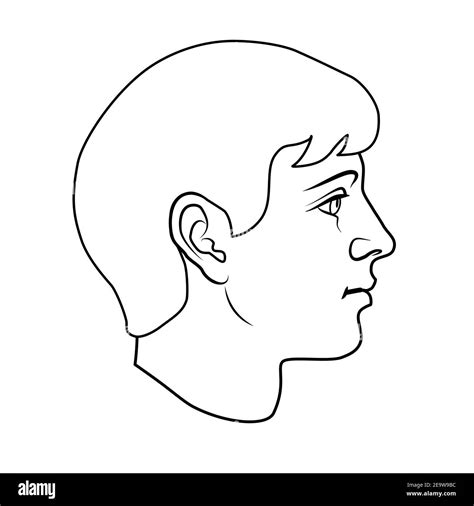 Face Outline Drawing