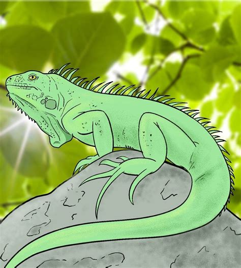 How To Draw An Iguana - Draw Central | Drawings, Iguana, Hand drawing ...