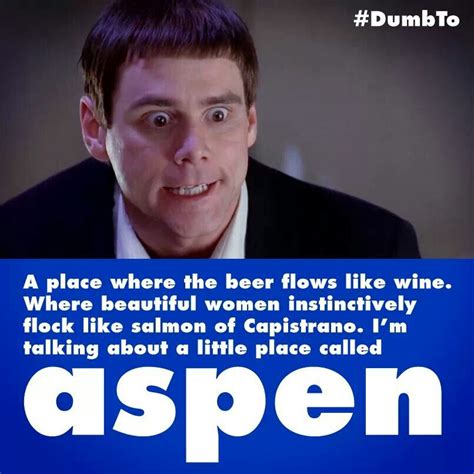 Dumb And Dumber Quotes - ShortQuotes.cc