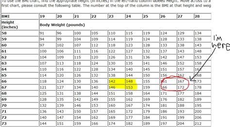 Patty's Blog: BMI Chart Female - My New Year's Resolution: BMI of 24