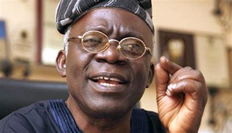 Femi Falana: Biography, family, net worth - Skabash!