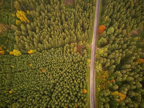 Empty Road through Forest from Above Stock Image - Image of tourism, country: 144896855