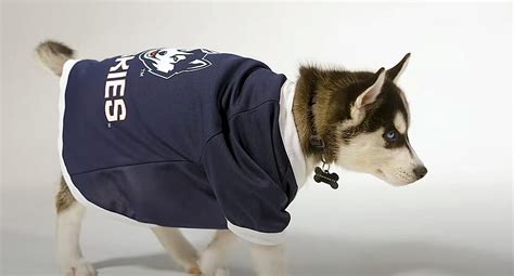 UCONN's New Mascot Jonathan 15 is Already a Viral Sensation