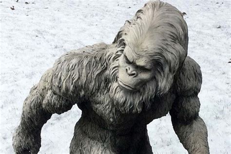 It Appears That The Yeti Mystery Has Finally Been Solved