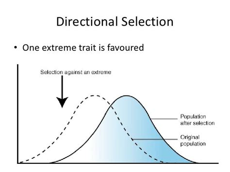 Types of selection