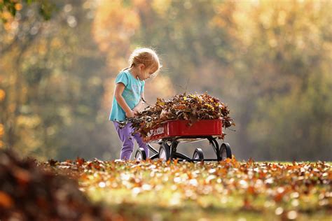 Raking Leaves? Avoid Back Pain with These 4 Tips - McQuaite Chiropractic