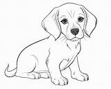 Realistic Dog Coloring Pages sketch template