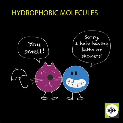 What is Hydrophobic