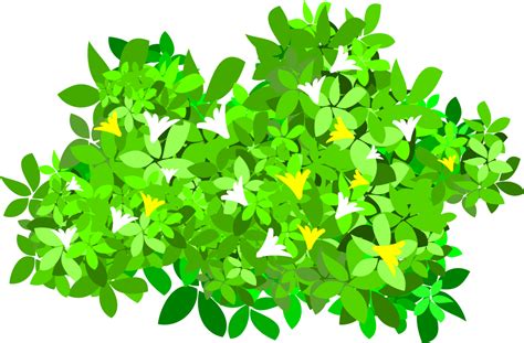 flower bush element 13666342 PNG