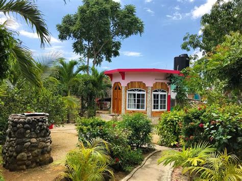 CORAL COTTAGE JAMAICA - Updated 2018 Prices & Guest house Reviews (Little Bay) - TripAdvisor