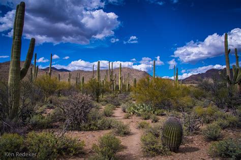 The Adventures of Ken: Tucson Mountain Park - Tucson, Arizona