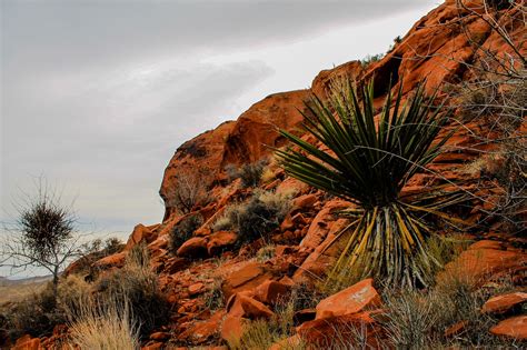 Utah,red rocks,red,national,park - free image from needpix.com