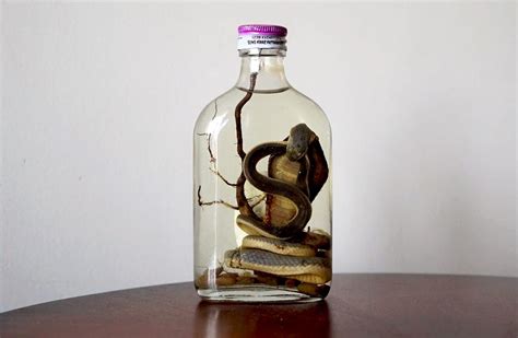 What Is Snake Whiskey? | Whiskey, Bottles decoration, Snake