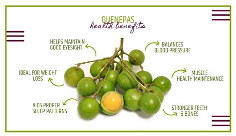 Quenepas Health Benefits - Vega Produce: Eat Exotic, Be Healthy