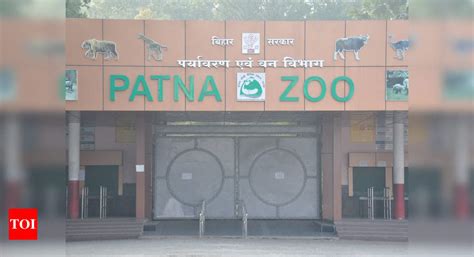 Patna zoo shut after bird flu kills six peafowls in 10 days | Patna ...