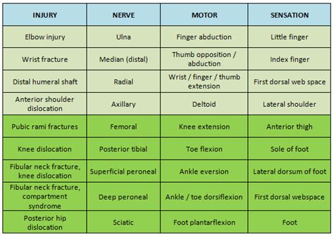 Peripheral Neuropathy - RCEMLearning