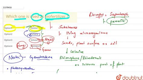 Which one is used as biofertilizer