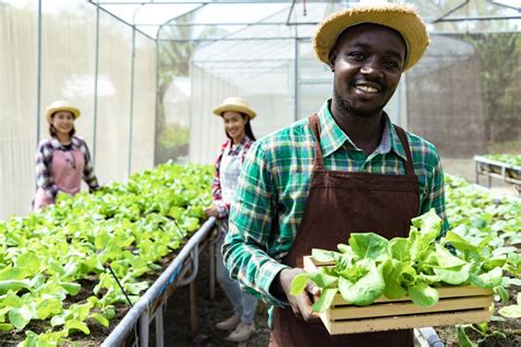 All You Need To Know About Urban Farming in San Francisco