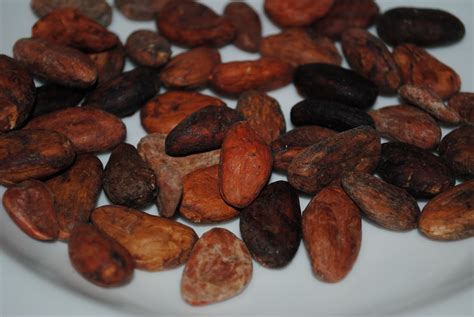 Good Food: Cacao Beans from the Mexican House of Spice