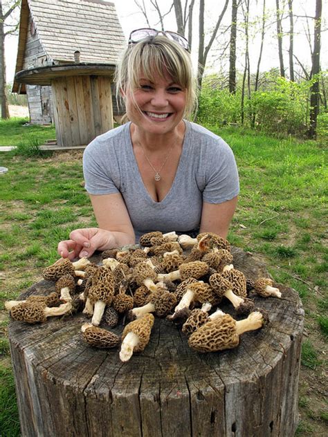 30 Best Ideas Morel Mushrooms Season - Best Recipes Ideas and Collections