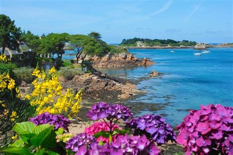 Natur Île de Bréhat – die Blumeninsel • Sehenswürdigkeit • Ausflugsziel Great Places, Places To ...