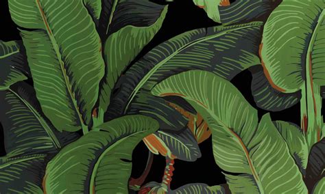 Download Black banana leaves wallpaper Wallpaper | Wallpapers.com