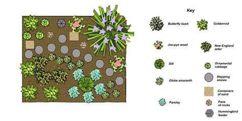 How to Design a Butterfly Garden – A Gardener’s Delight