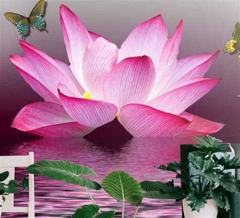 Pink lotus flower with butterflies mural wallpaper - TenStickers