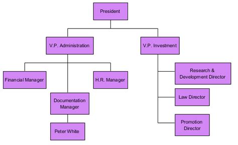 Formal Organization Examples