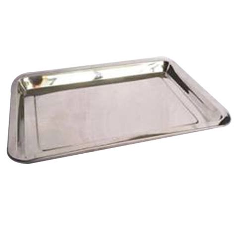 SS Trays at best price in New Delhi by East West Brothers Limited | ID ...