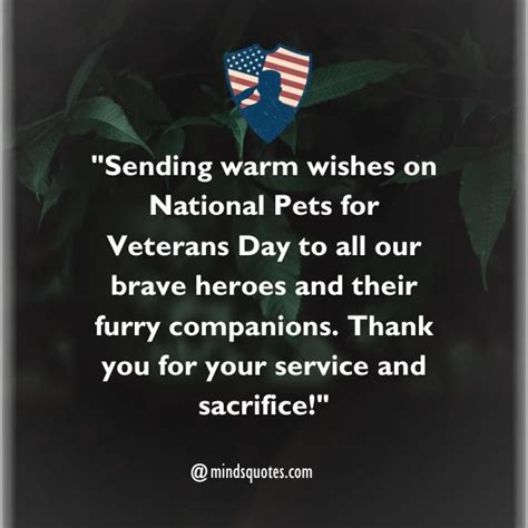 50 National Pets For Veterans Day Quotes, Wishes, Messages