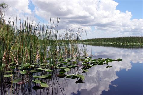 Everglades National Park Wallpapers - Wallpaper Cave