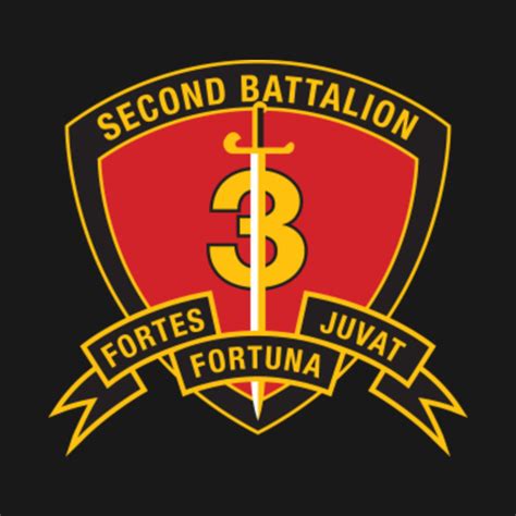 USMC 2nd Battalion 3rd Marines - 2nd Battalion 3rd Marine Regiment - T ...