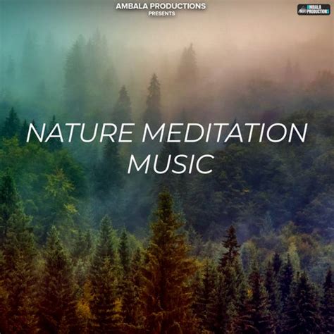 Nature Meditation Music by Ashish Kalyan on Beatsource