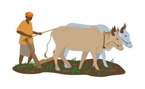 Indian Farmer Ploughing Clipart People