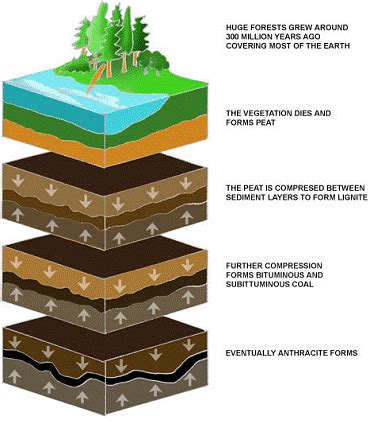 Describe the formation of coal. What are its four types? Mention two ...