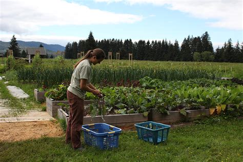 Farming in Southeast Alaska presents unique challenges