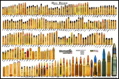 BIG BORE - Bullet Poster (Cartridge Comparison): Electronics | Ammunition, Guns bullet, Guns and ...