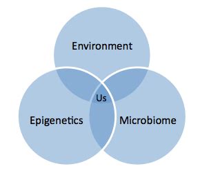 How epigenetics, our gut microbiome and the environment interact to ...