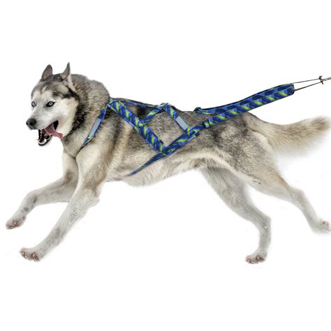 Dog Sled Harness Pet Weight Pulling Harness Mushing X Back, 56% OFF