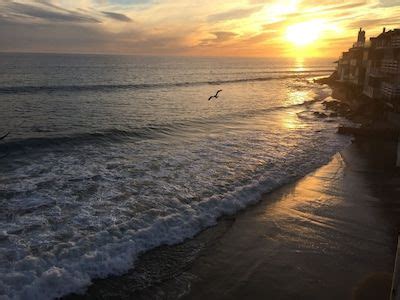 Beaches shelling creole nature trail lake charles – Artofit