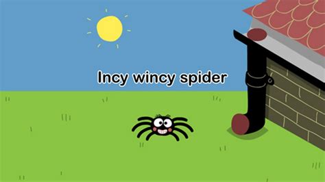 Incy Wincy Spider, loài nhện và động nhện Spiderum