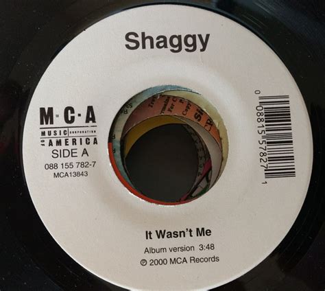 Shaggy - It Wasn't Me (2000, Vinyl) | Discogs