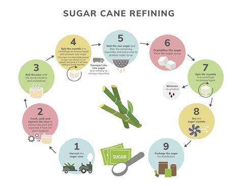 What is Refined Sugar? Refining & Processing | Sugar.org