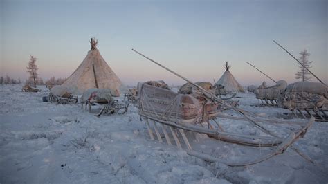 Nenets, the last nomadic reindeer herders of the planet - diariesof