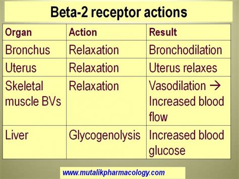 Adrenergic Agonists | Mutalik Pharmacology