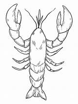 Lobster coloring Pages sketch template