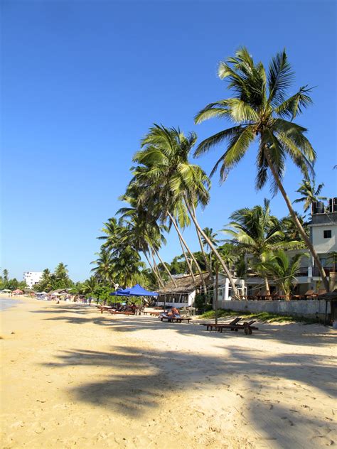 Mirissa Beach in Sri Lanka is the Perfect Paradise for a Beach Lover